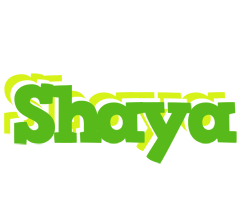 Shaya picnic logo