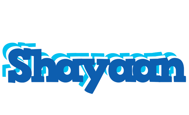 Shayaan business logo
