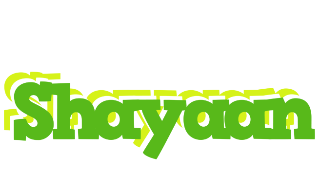Shayaan picnic logo