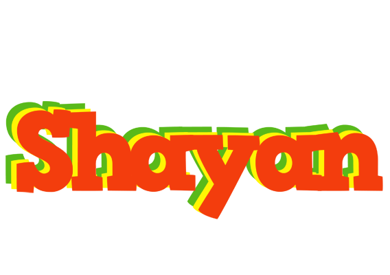 Shayan bbq logo