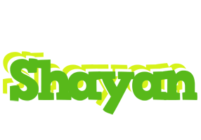 Shayan picnic logo