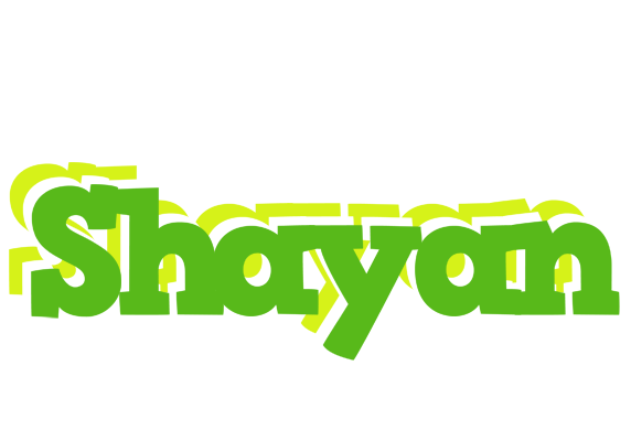 Shayan picnic logo