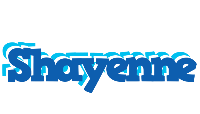 Shayenne business logo