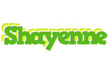 Shayenne picnic logo