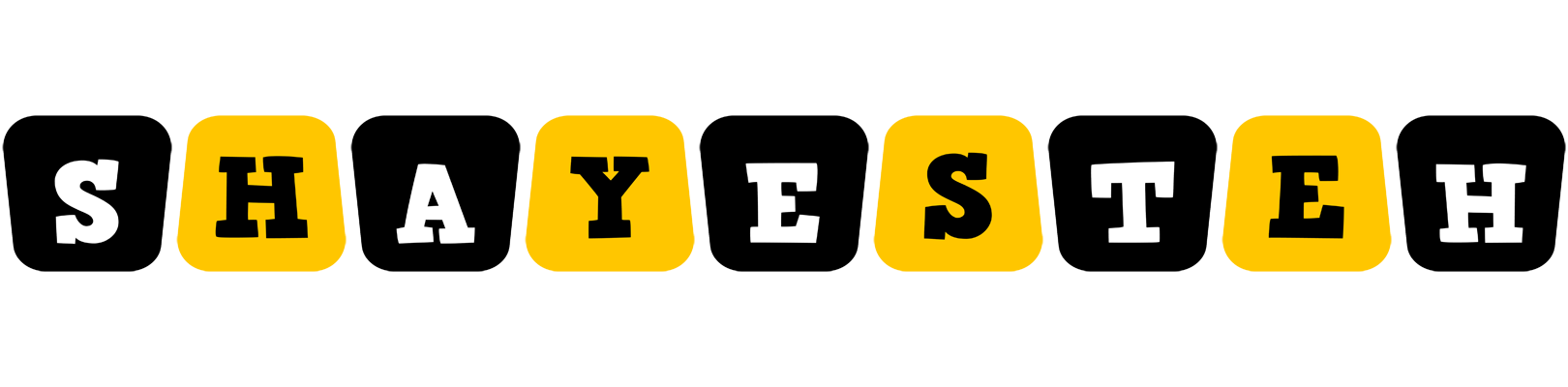 Shayesteh boots logo