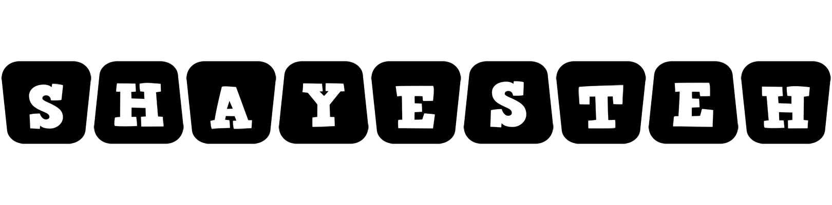 Shayesteh racing logo