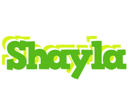 Shayla picnic logo