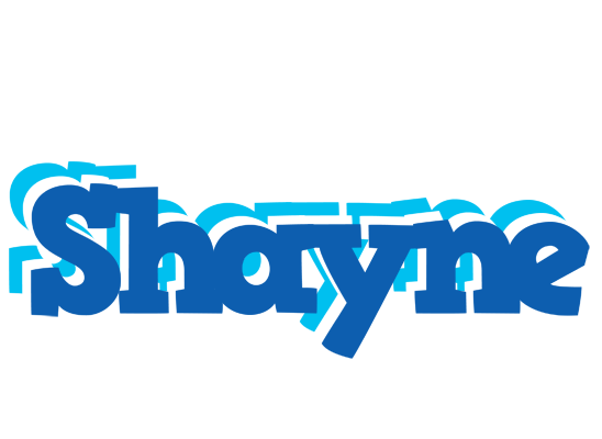 Shayne business logo
