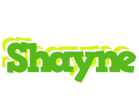 Shayne picnic logo