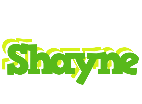 Shayne picnic logo