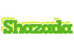 Shazada picnic logo