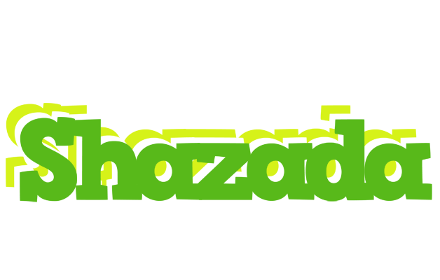 Shazada picnic logo