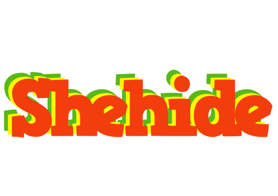 Shehide bbq logo