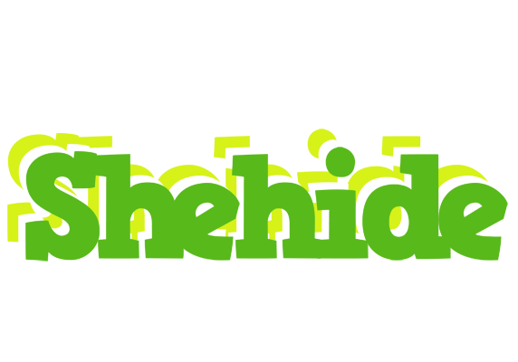 Shehide picnic logo