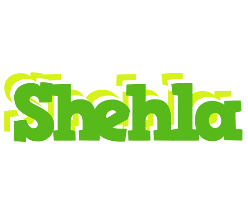 Shehla picnic logo