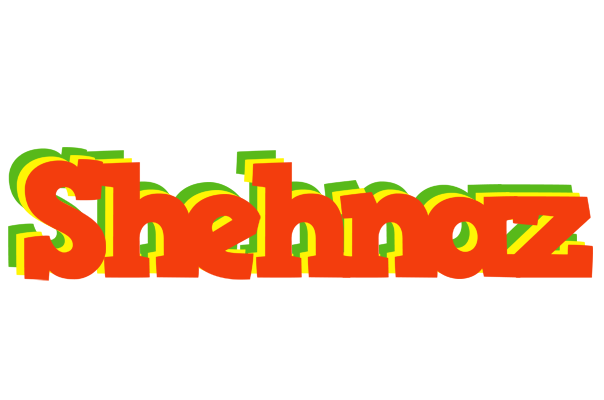 Shehnaz bbq logo