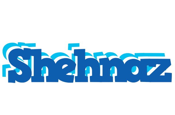 Shehnaz business logo
