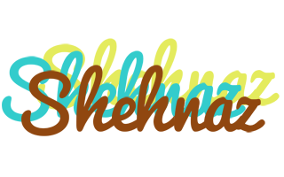 Shehnaz cupcake logo