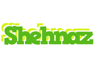 Shehnaz picnic logo