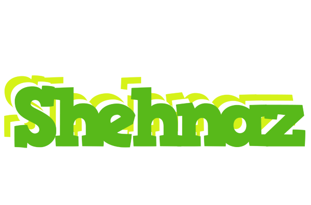 Shehnaz picnic logo