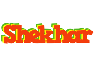 Shekhar bbq logo