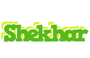 Shekhar picnic logo