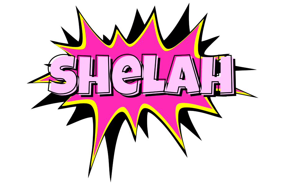 Shelah badabing logo