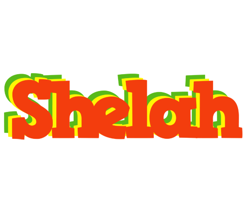 Shelah bbq logo
