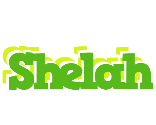 Shelah picnic logo