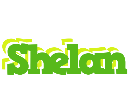 Shelan picnic logo