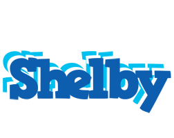Shelby business logo