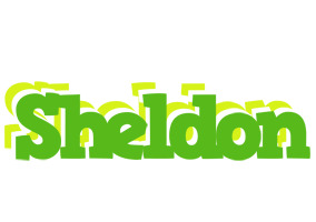 Sheldon picnic logo