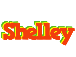 Shelley bbq logo