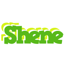 Shene picnic logo