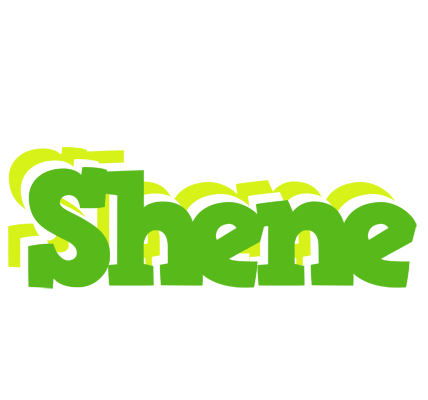 Shene picnic logo