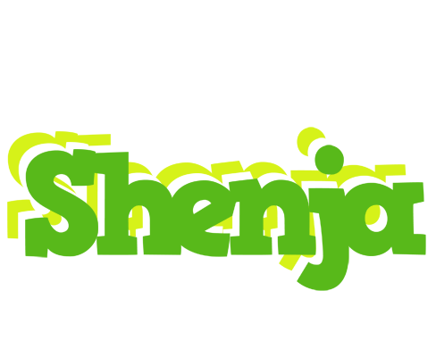 Shenja picnic logo