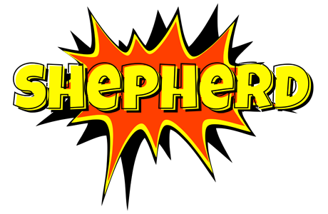 Shepherd bazinga logo