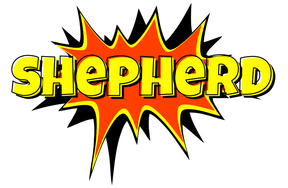 Shepherd bazinga logo