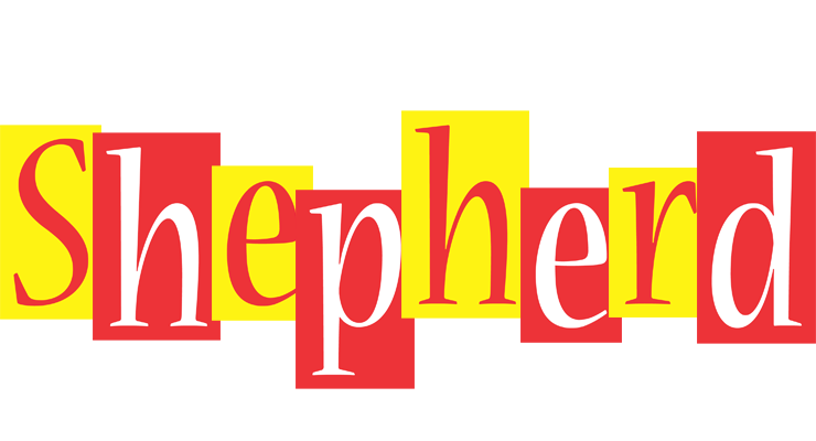 Shepherd errors logo