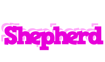 Shepherd rumba logo