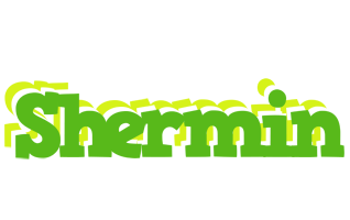 Shermin picnic logo