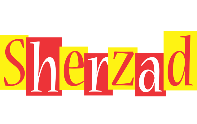 Sherzad errors logo