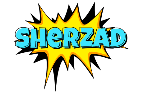 Sherzad indycar logo