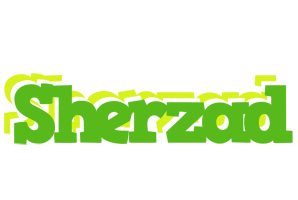 Sherzad picnic logo