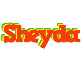 Sheyda bbq logo