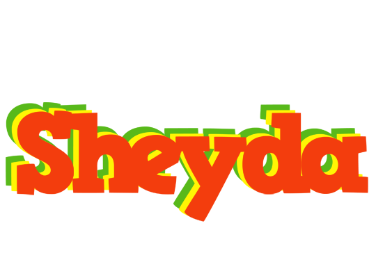 Sheyda bbq logo