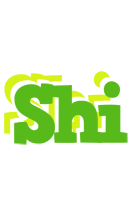 Shi picnic logo