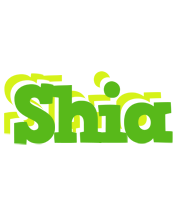 Shia picnic logo