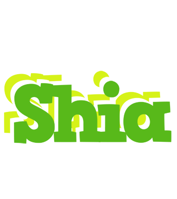 Shia picnic logo