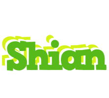 Shian picnic logo